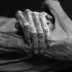 Mastiff (UK) : Everything Equals Death